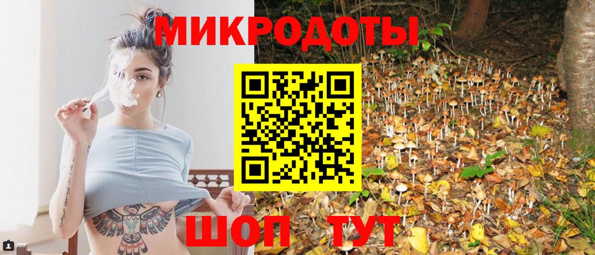 Галлюциногенные грибы Psilocybe Кудрово